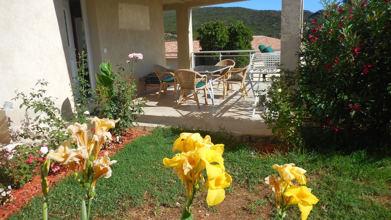 Photo of Outdoor in Sisco