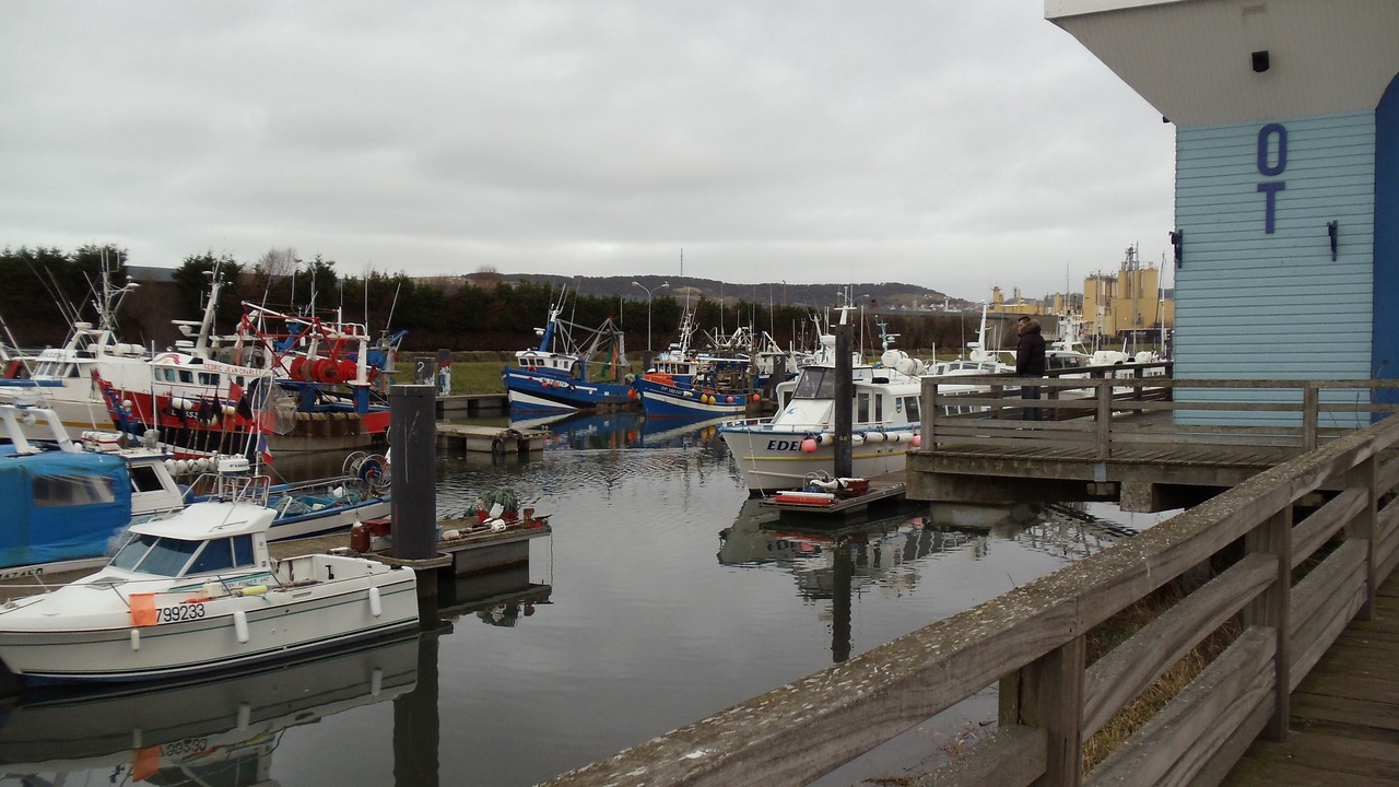 Photo of Others in Le Treport