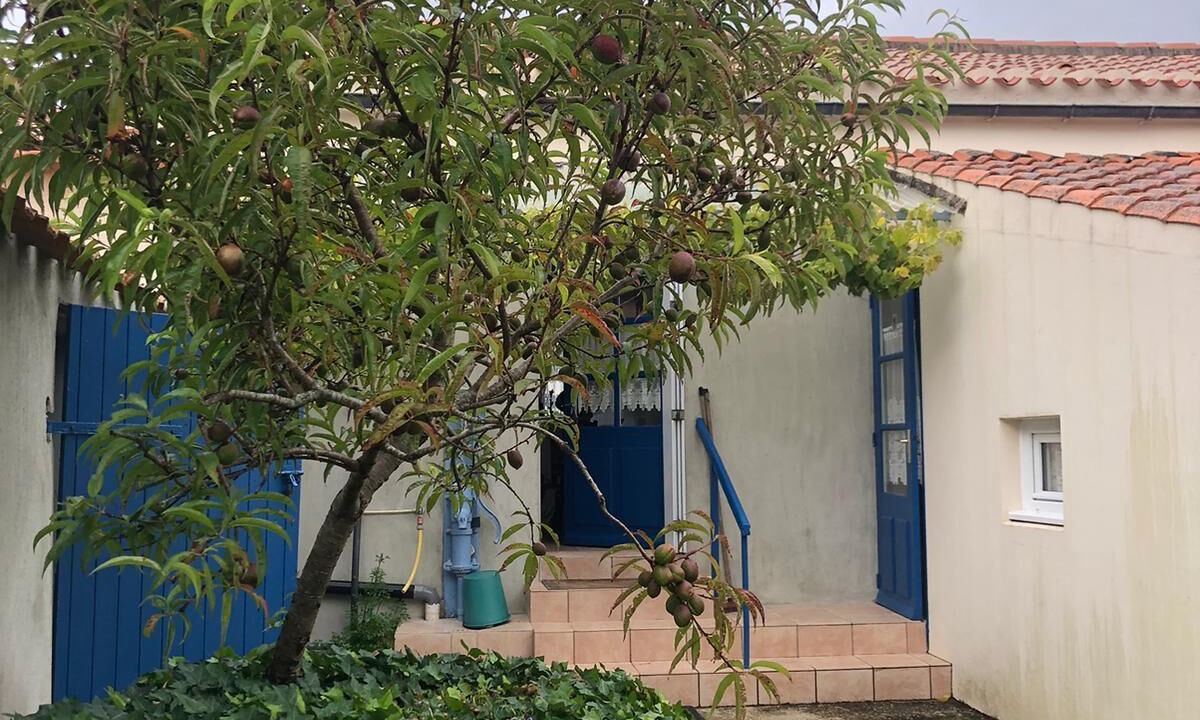 Photo of Outdoor in Sallertaine
