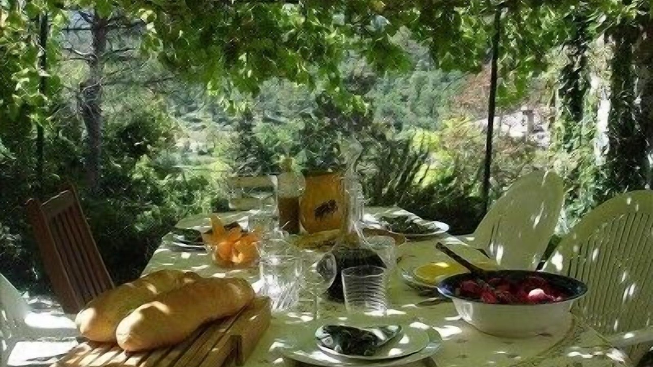 Photo of Outdoor in Menerbes