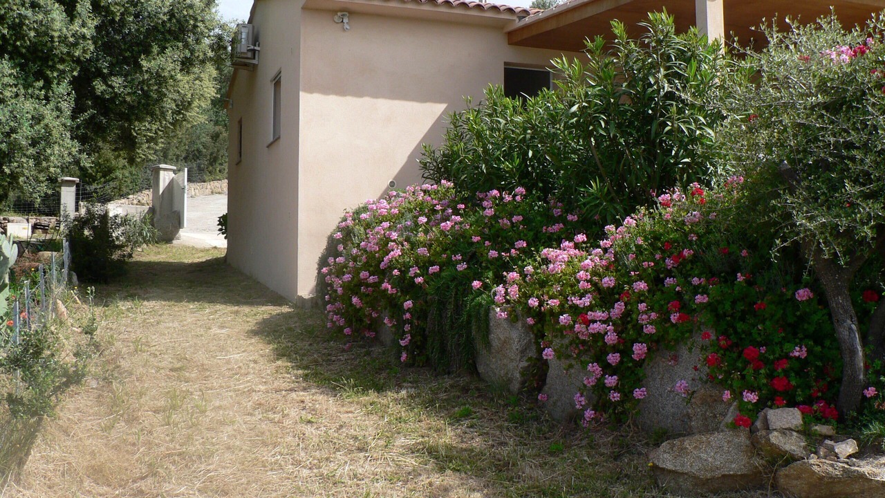 Photo of Outdoor in Monacia-d'Aullene