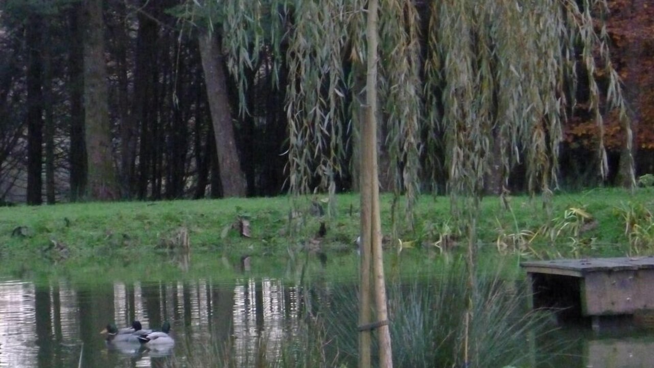 Photo of Others in Brix