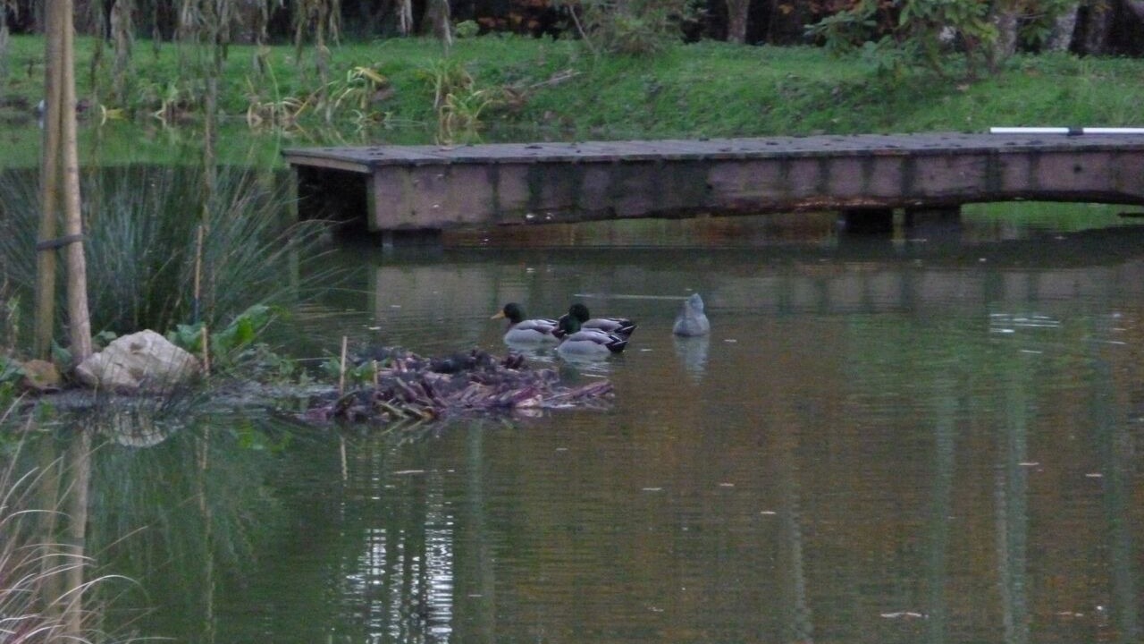 Photo of Others in Brix