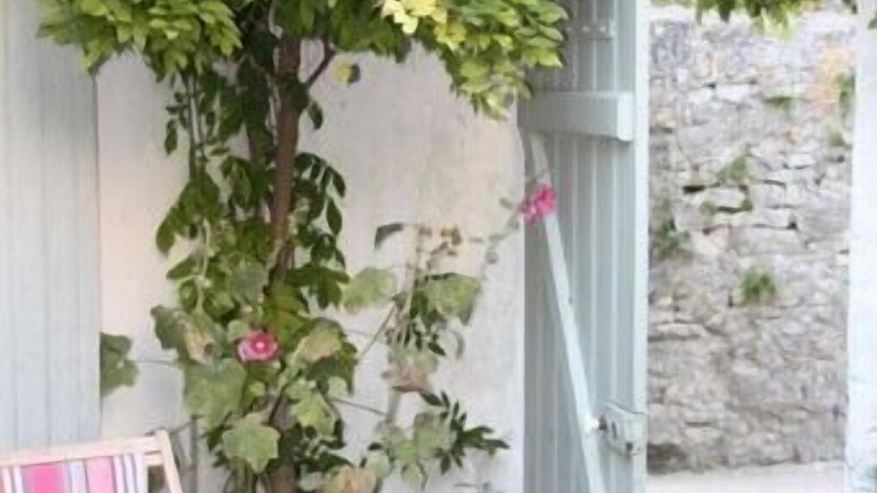 Photo of Outdoor in Sainte-Marie-de-Re