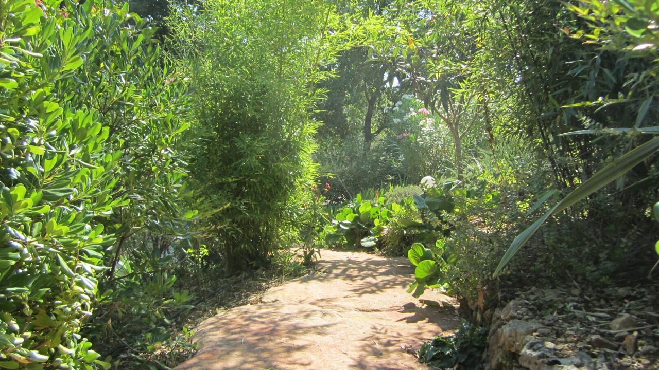 Photo of Outdoor in Salernes