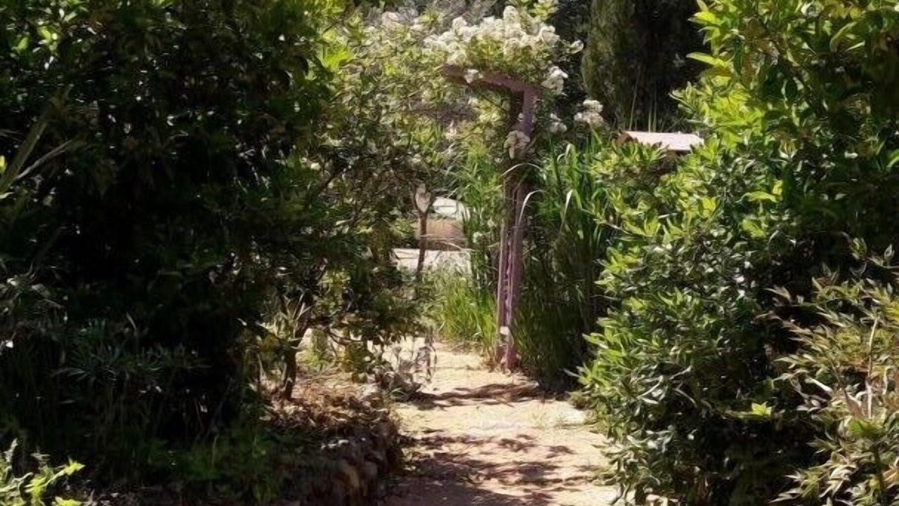 Photo of Outdoor in Salernes