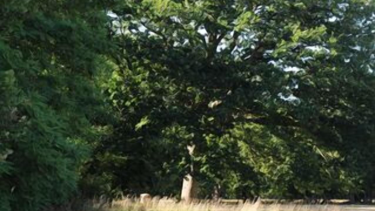 Photo of Outdoor in Saint-Andre-des-Eaux