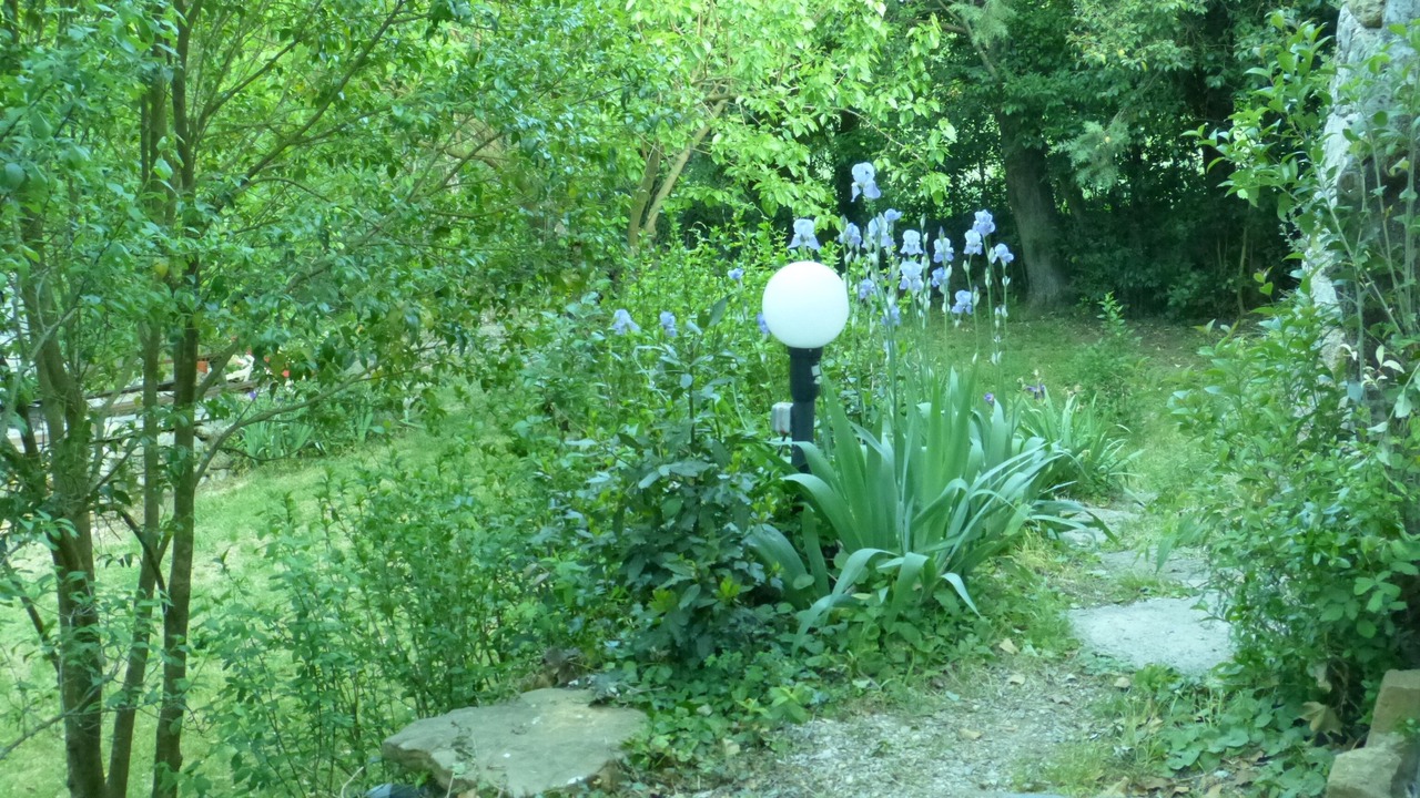 Photo of Outdoor in Thoiras
