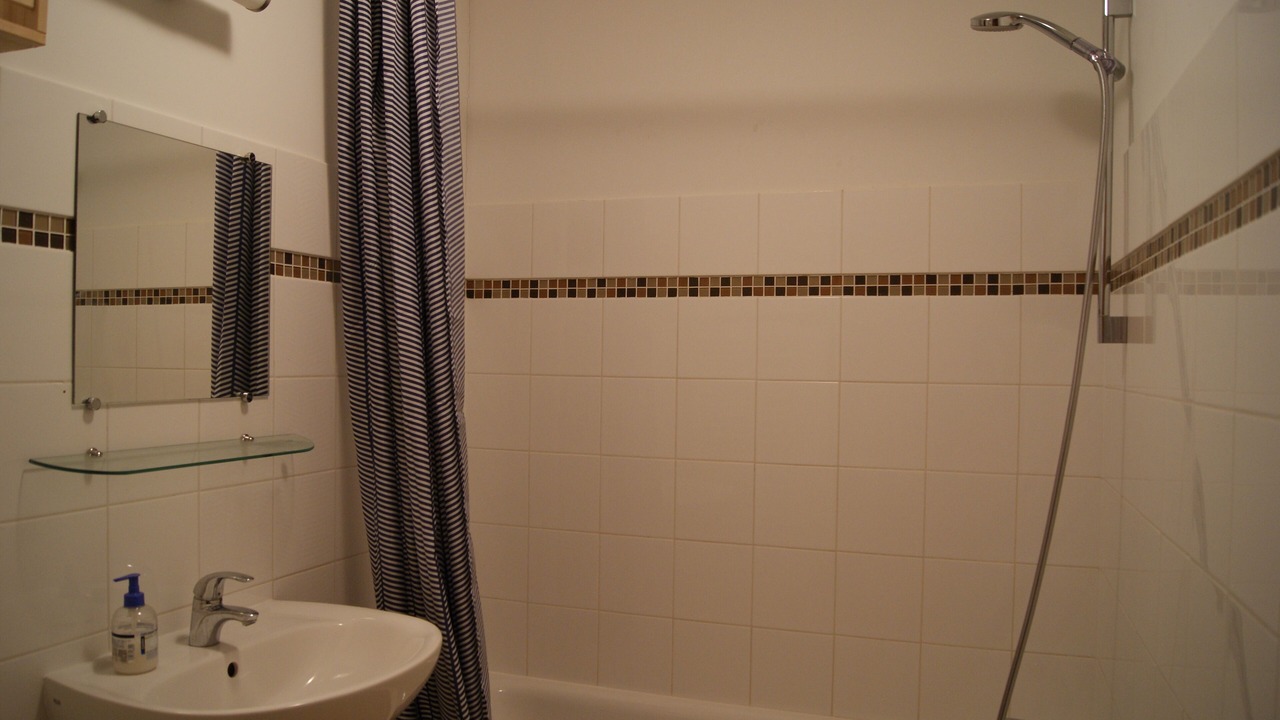 Photo of Bathroom in La Roche