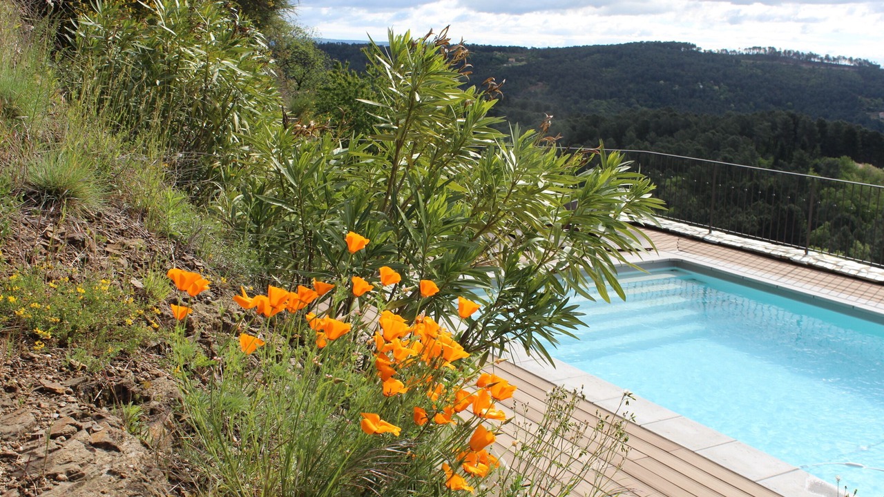 Photo of Outdoor in Chassiers