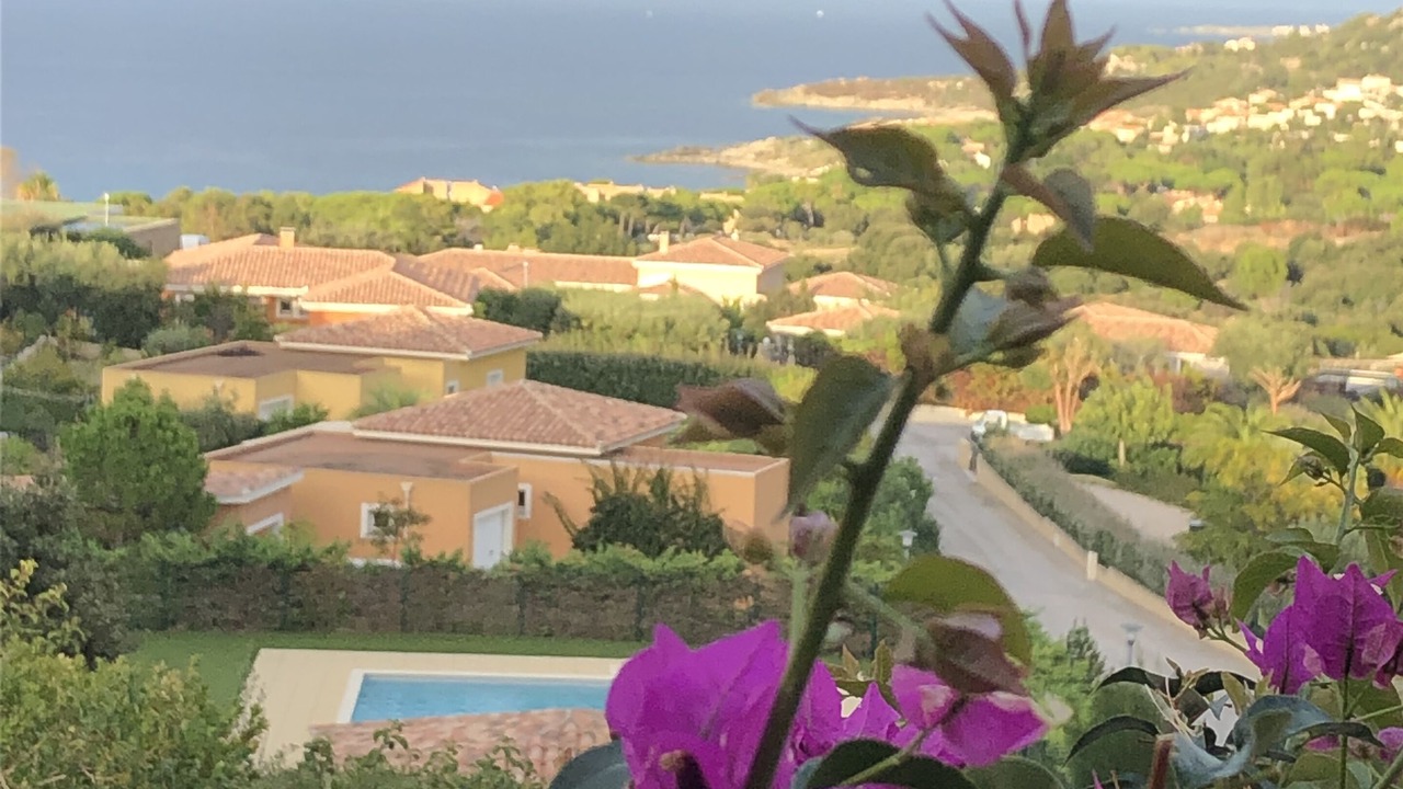 Photo of Outdoor in Marine de Saint Ambroggio