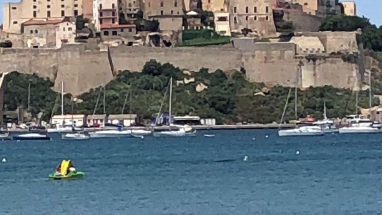 Photo of Others in Marine de Saint Ambroggio