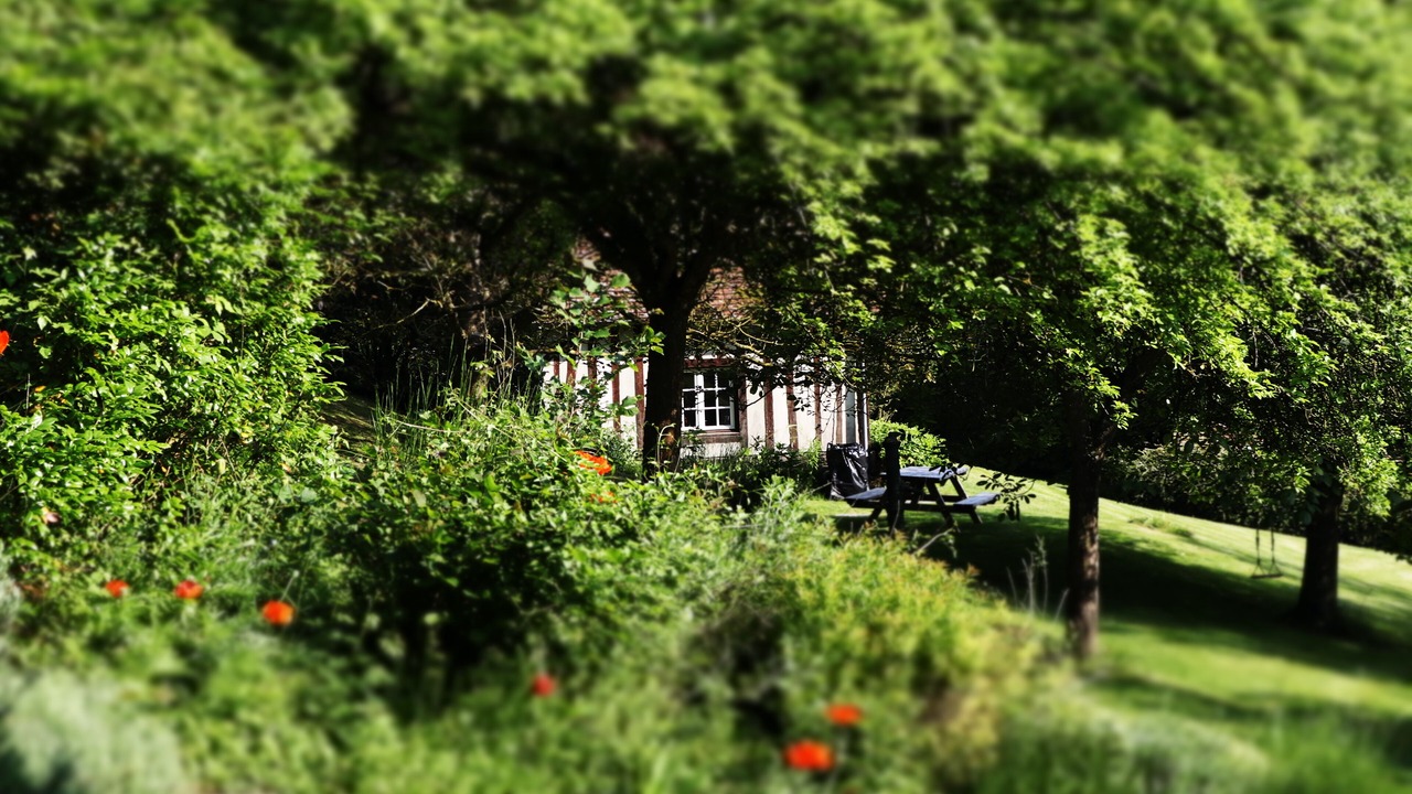 Photo of Outdoor in Saint-Julien-de-Mailloc