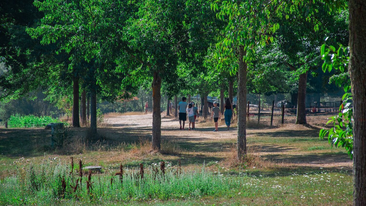 Photo of Others in Le Malzieu-Ville