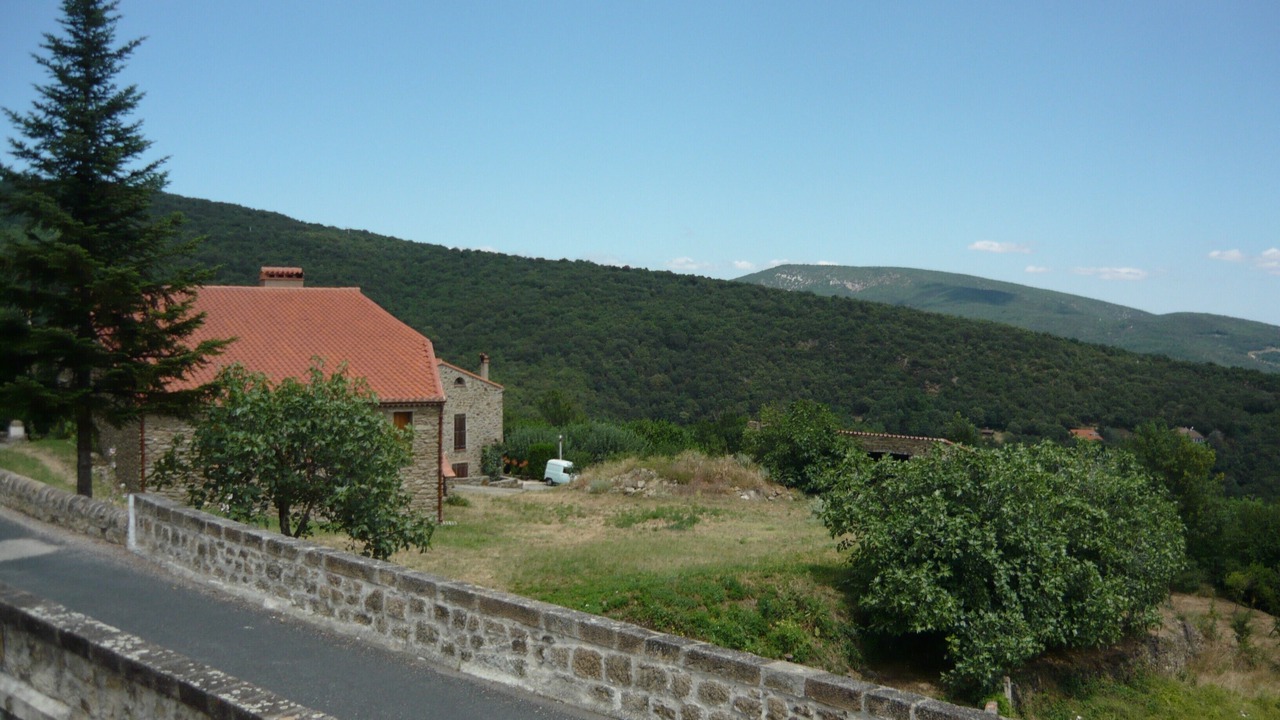 Photo of Others in Taulis