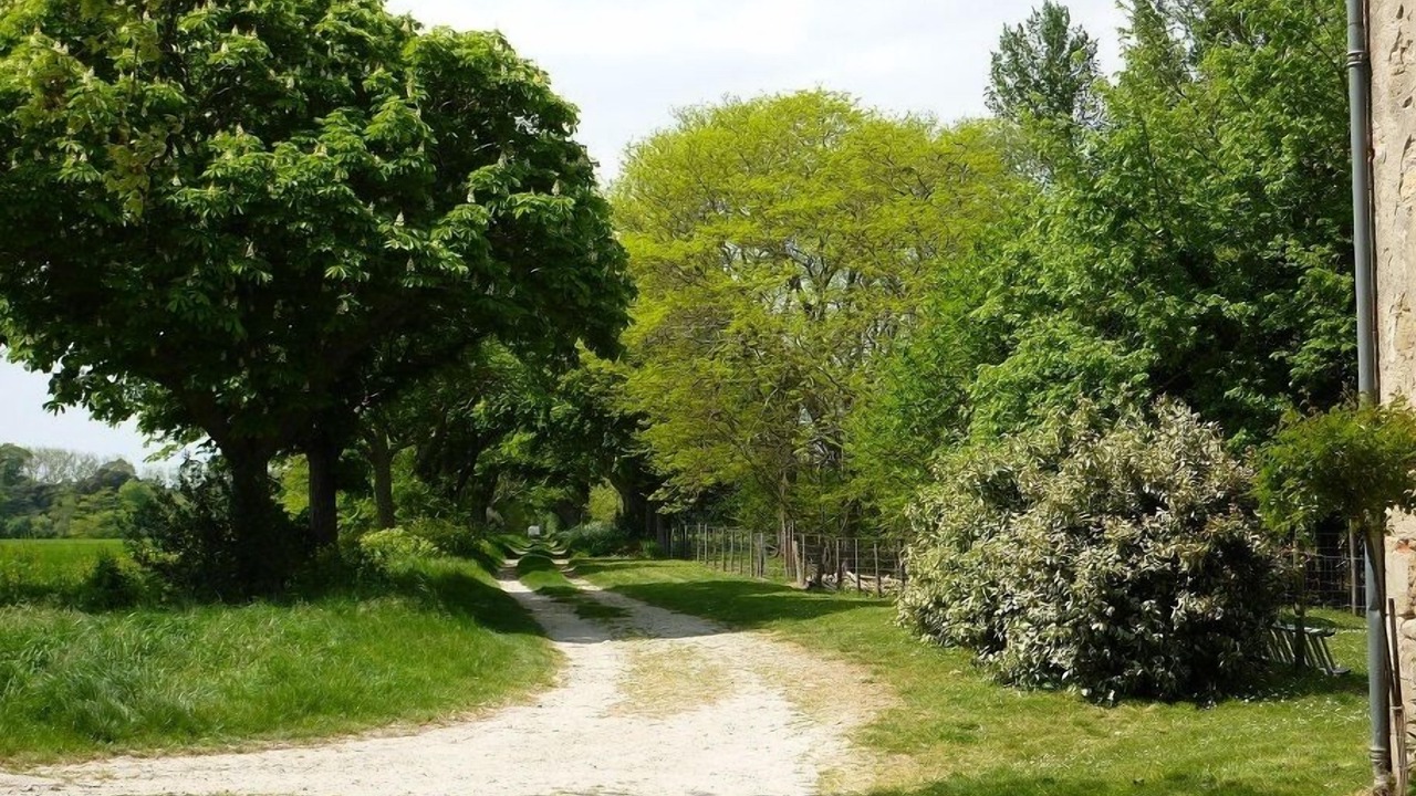 Photo of Outdoor in Montreal