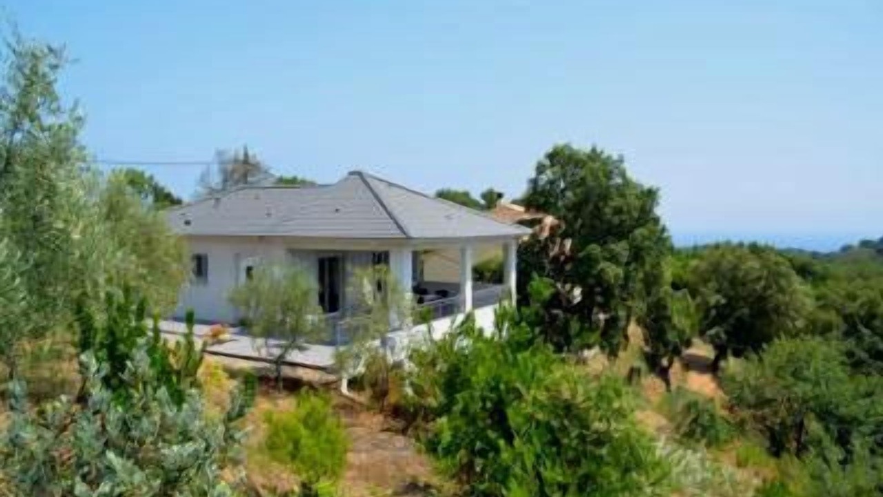 Photo of Outdoor in Cervione