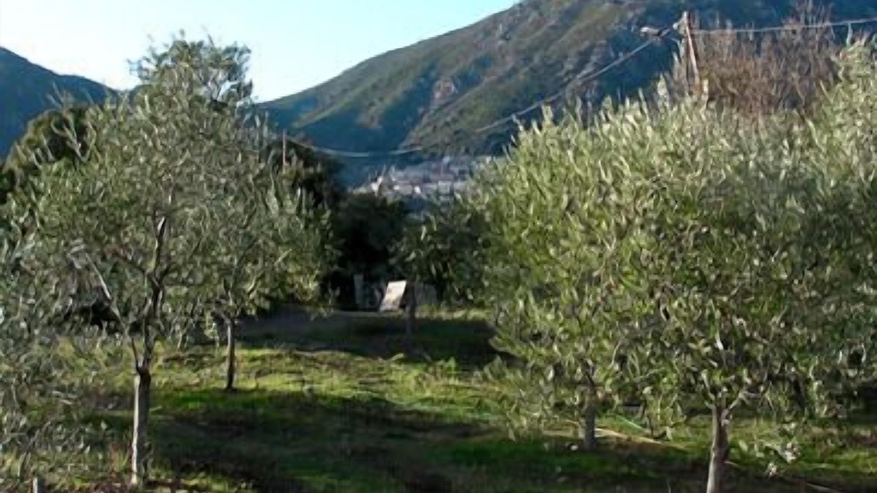 Photo of Outdoor in Cervione