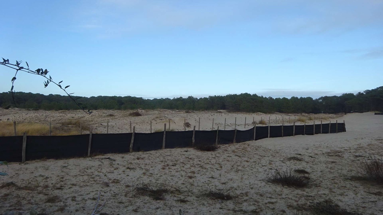 Photo of Outdoor in Biscarrosse Plage