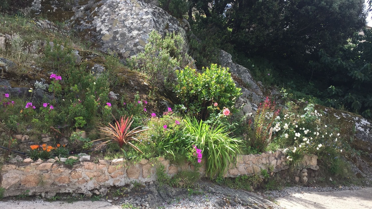 Photo of Outdoor in Sartene