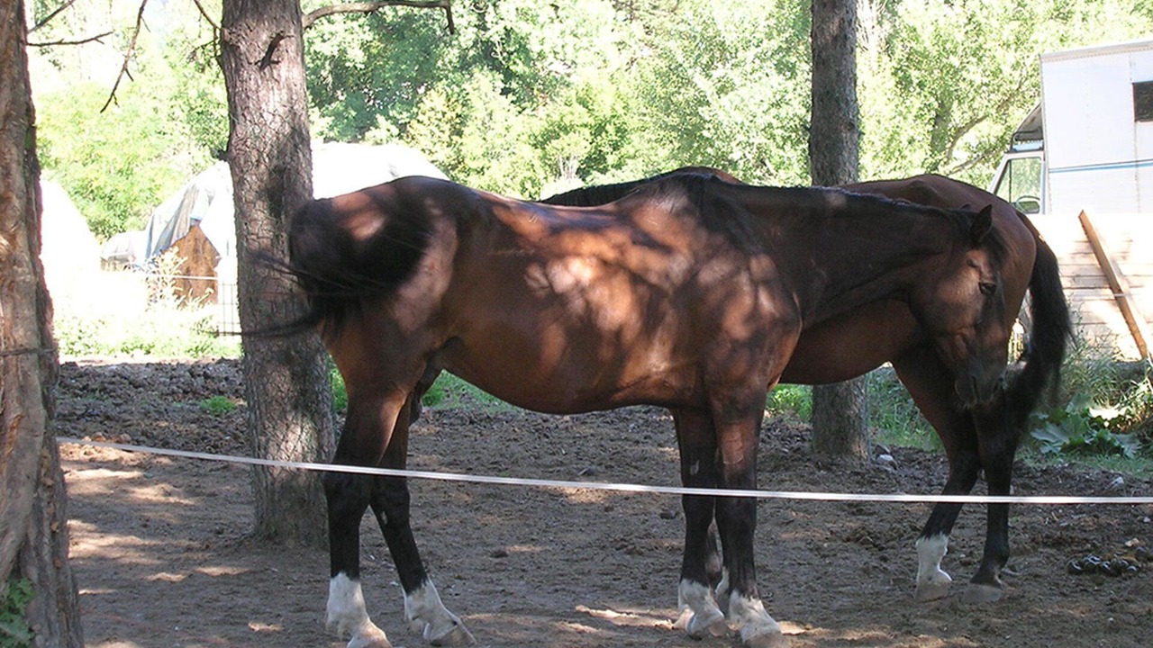Photo of Others in Annot