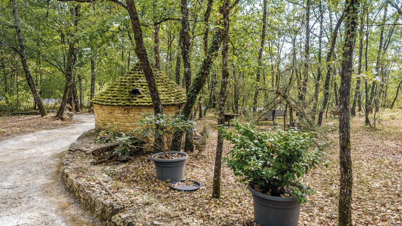 Photo of Outdoor in Carlux