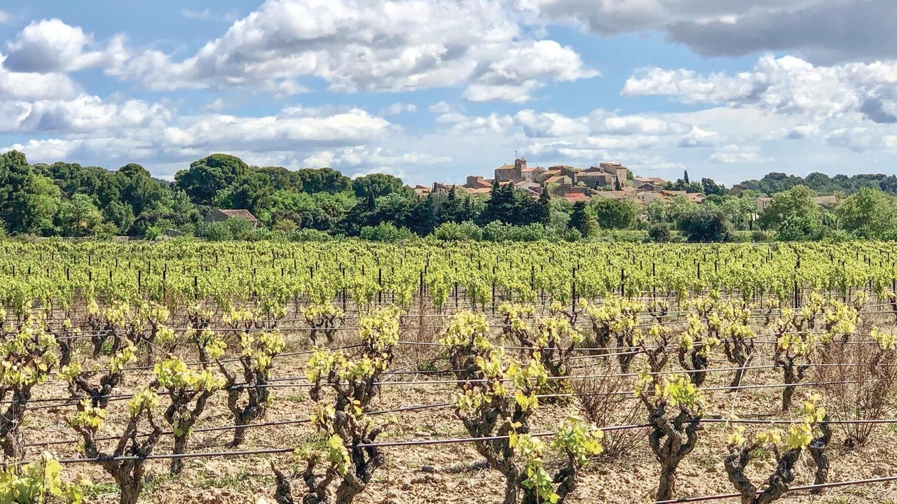 Photo of Others in Pouzols-Minervois