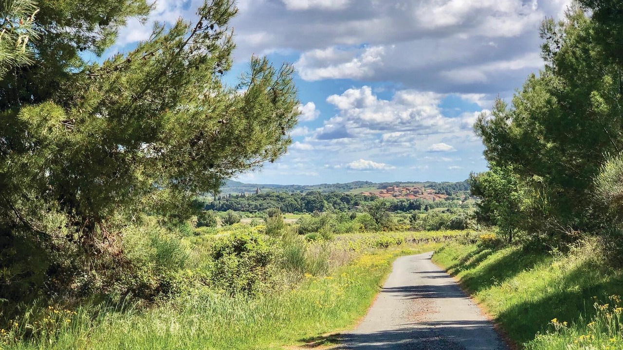 Photo of Others in Pouzols-Minervois