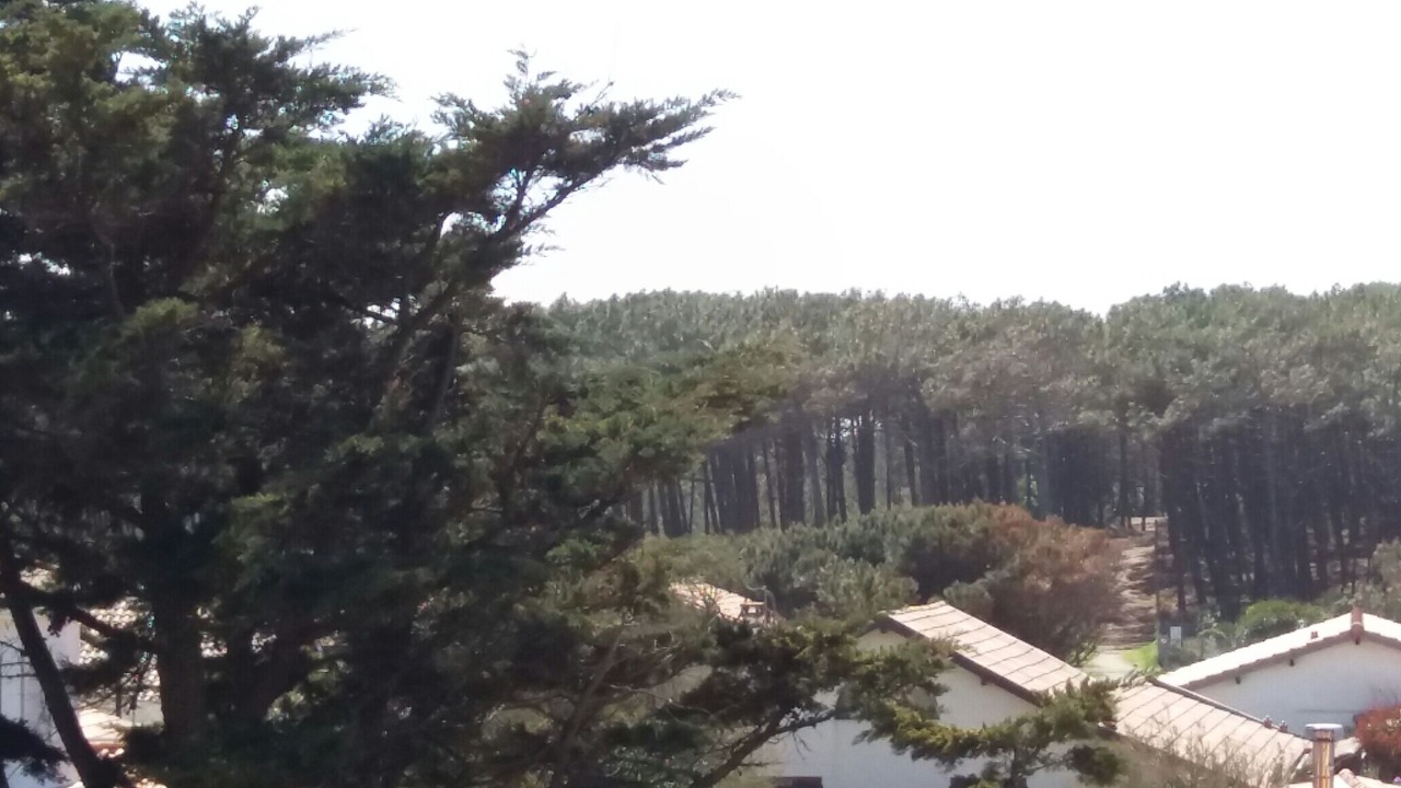 Photo of Patio Balcony in Carcans Plage