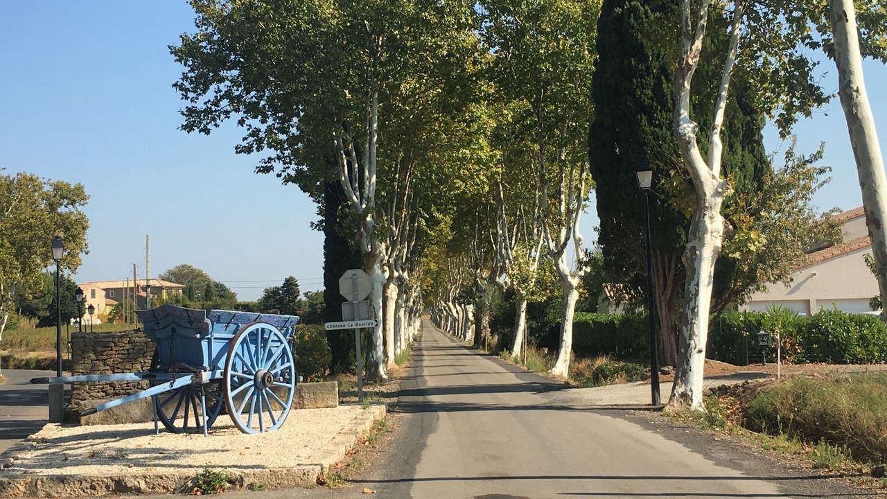 Photo of Others in Montbrun-des-Corbieres