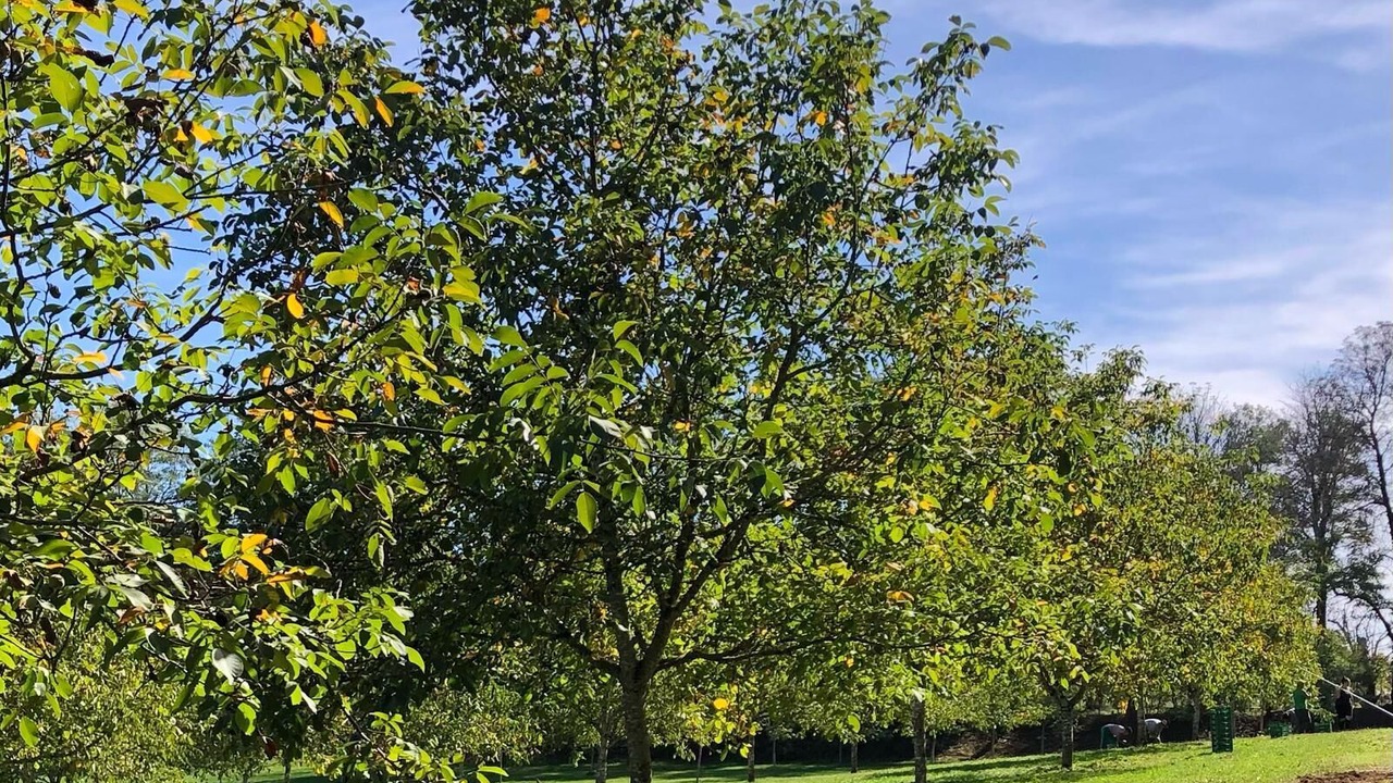 Photo of Outdoor in Cendrieux
