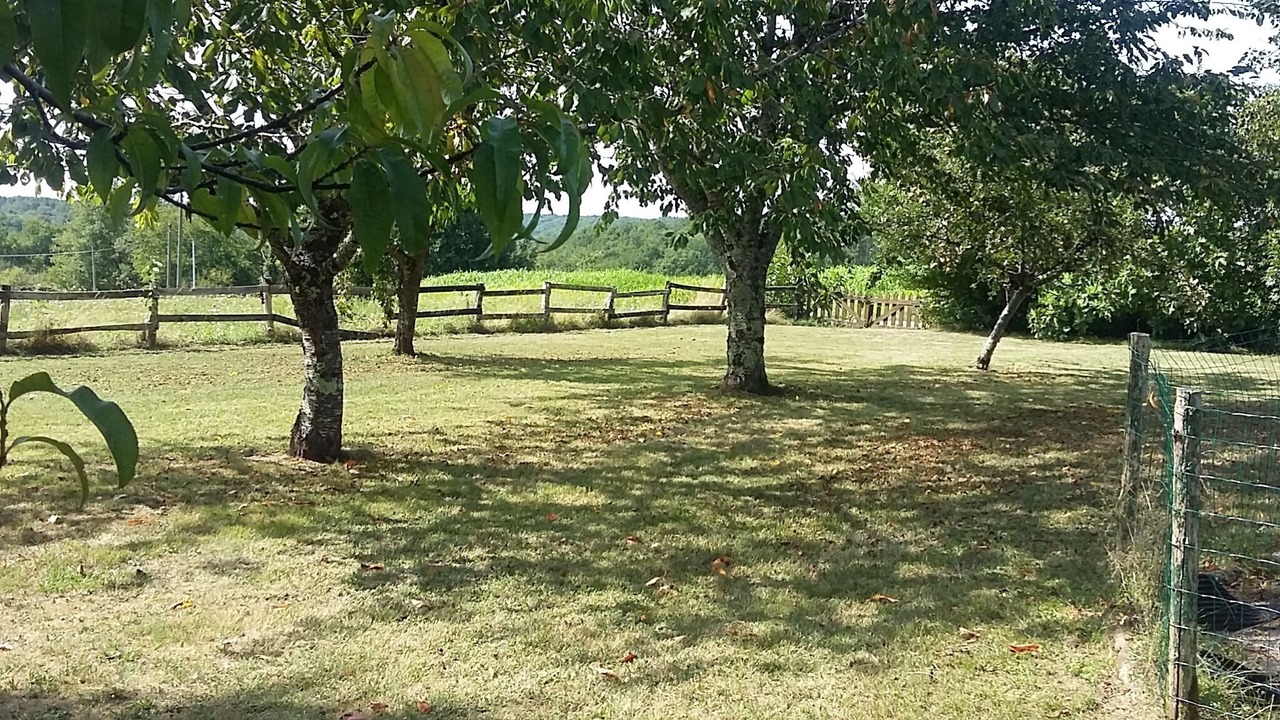Photo of Outdoor in Saint-Marcory
