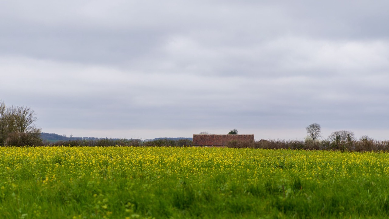 Photo of Outdoor in Vicheres