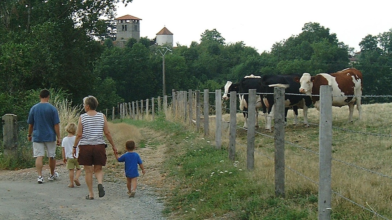 Photo of Others in Saint-Germain-Laval