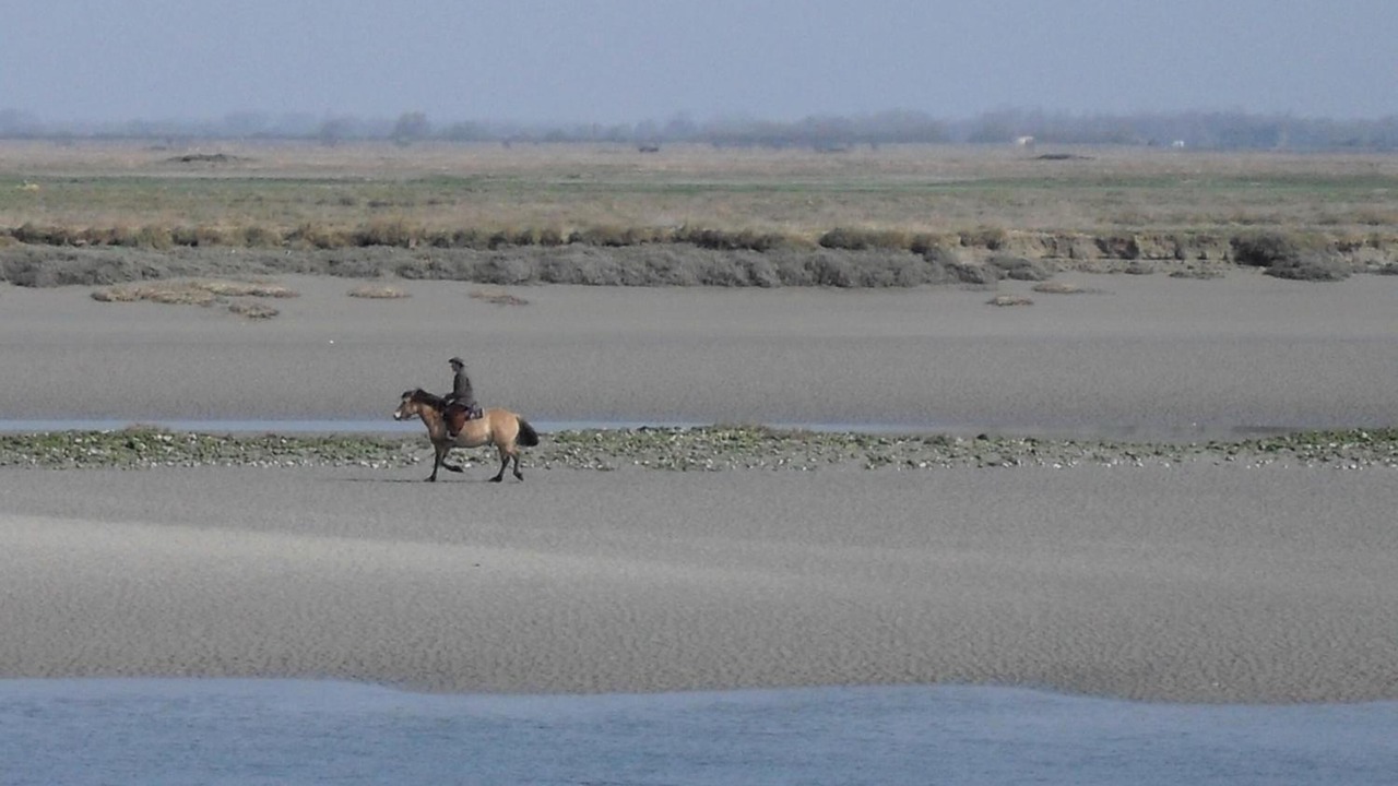 Photo of Others in Cayeux-sur-Mer