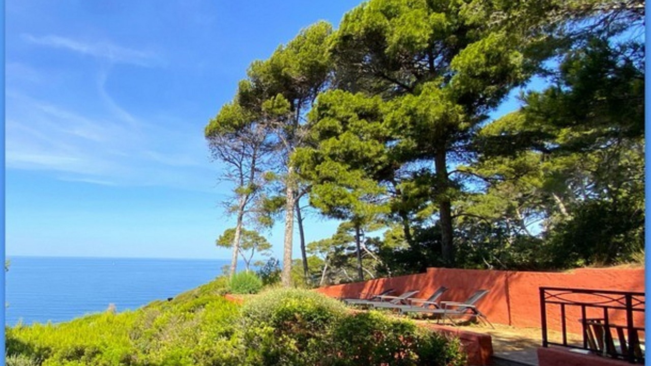 Photo of Others in Six-Fours-les-Plages