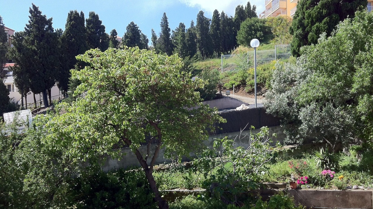 Photo of Outdoor in Banyuls-sur-Mer