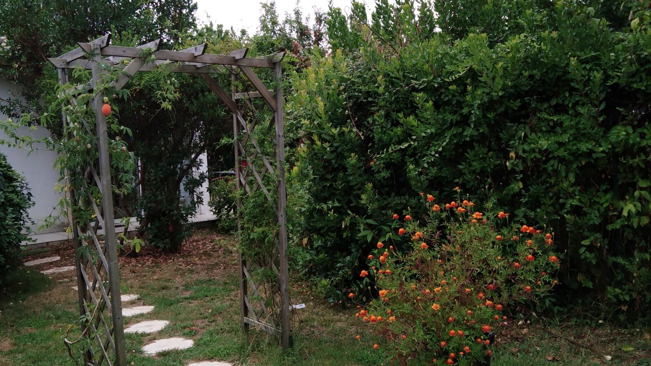 Photo of Outdoor in Saint-Julien-en-Born