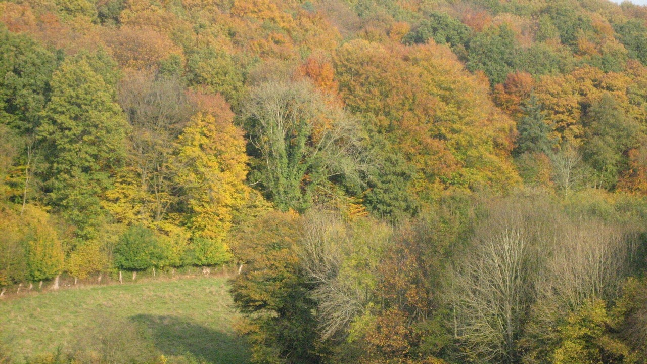 Photo of Outdoor in Fiquefleur-Equainville