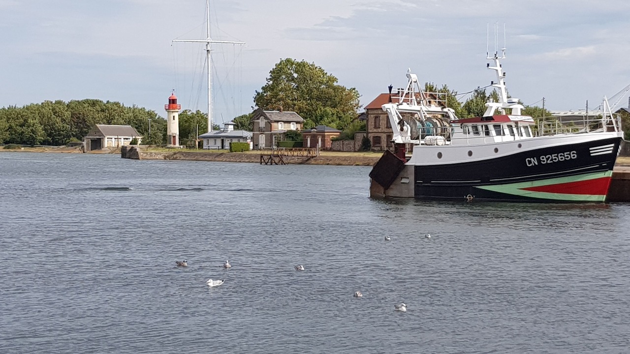 Photo of Others in Blonville-sur-Mer