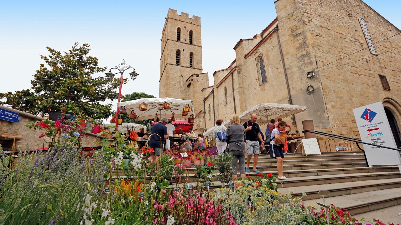 Photo of Others in Plage d'Argeles