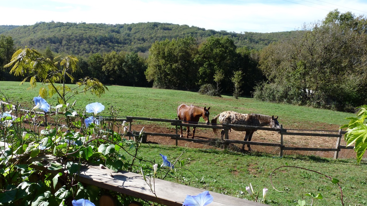 Photo of Outdoor in Saint-Aubin-de-Nabirat