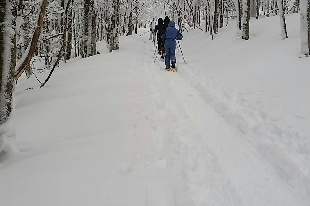Photo of Others in Gerardmer