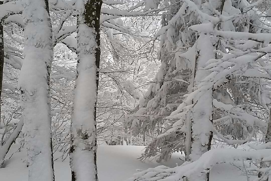Photo of Others in Gerardmer