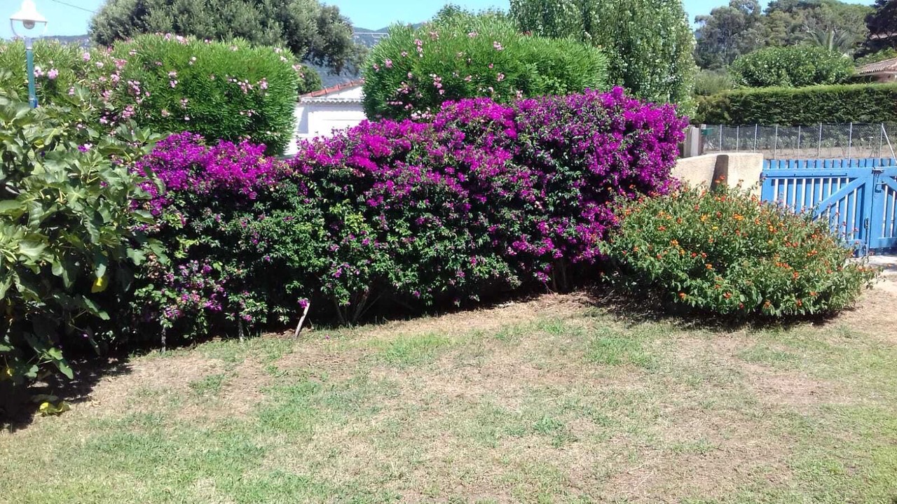 Photo of Outdoor in Verghia