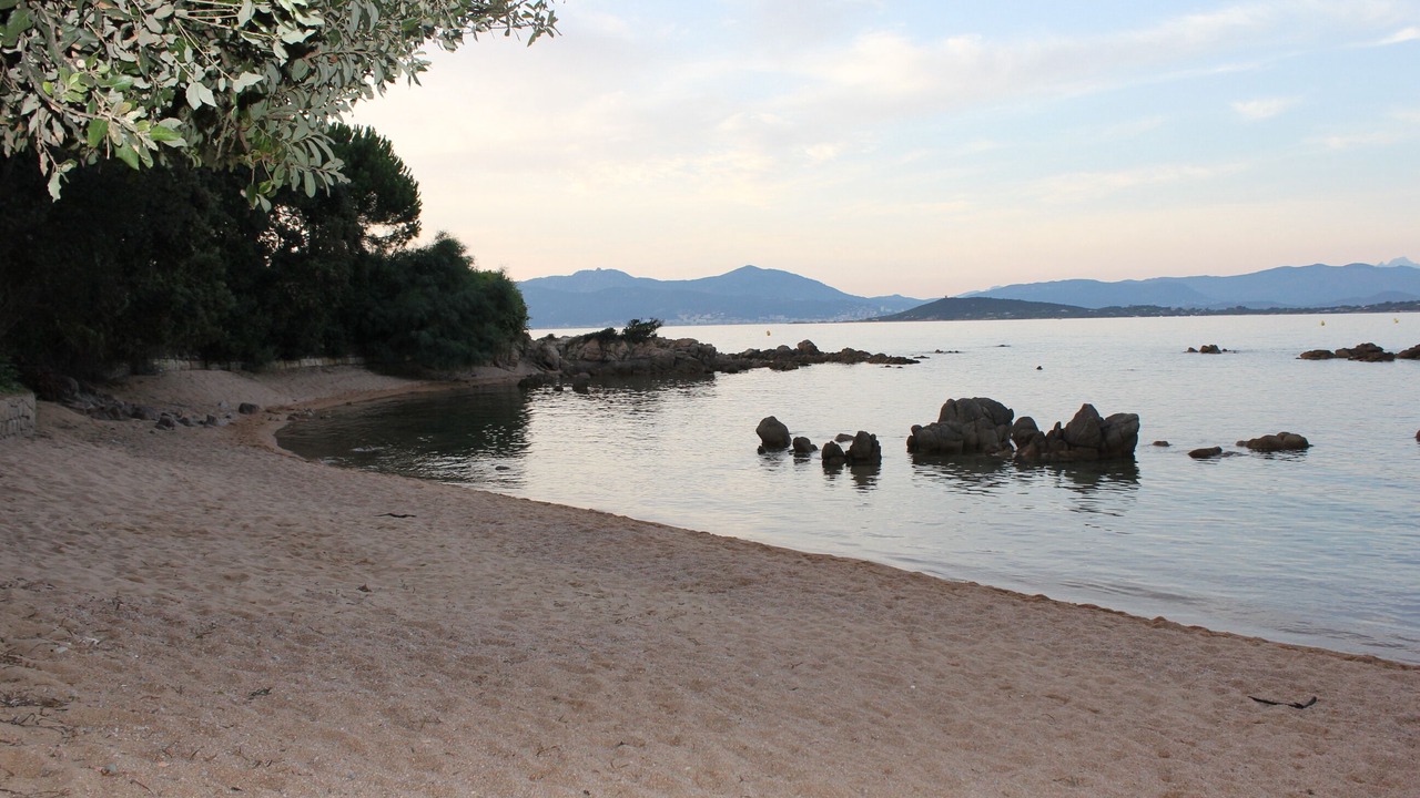 Photo of Others in Verghia