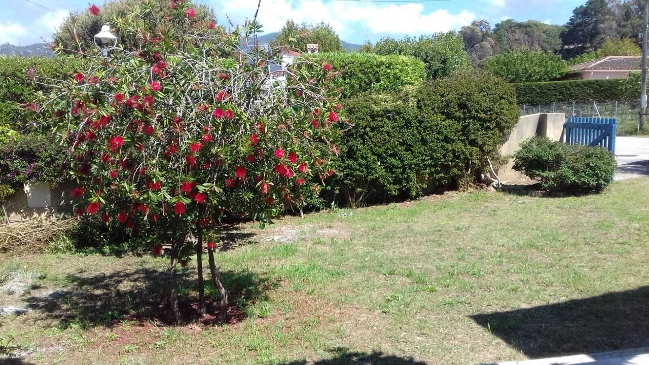 Photo of Outdoor in Verghia