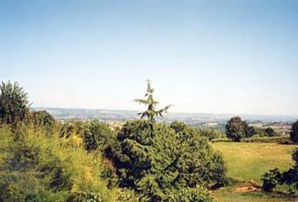 Photo of Others in Ayen