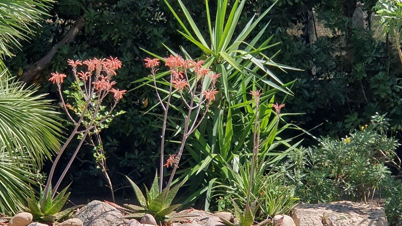 Photo of Outdoor in Porto-Vecchio
