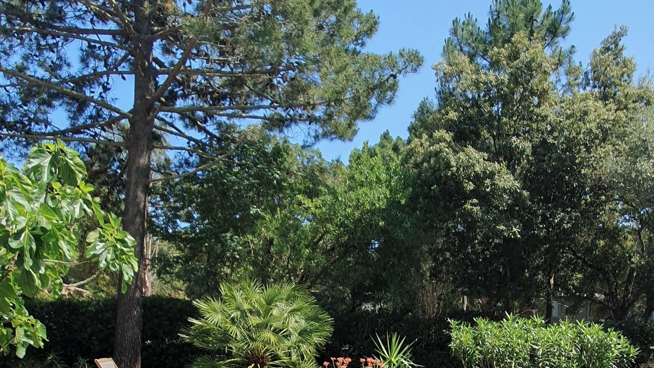 Photo of Outdoor in Porto-Vecchio